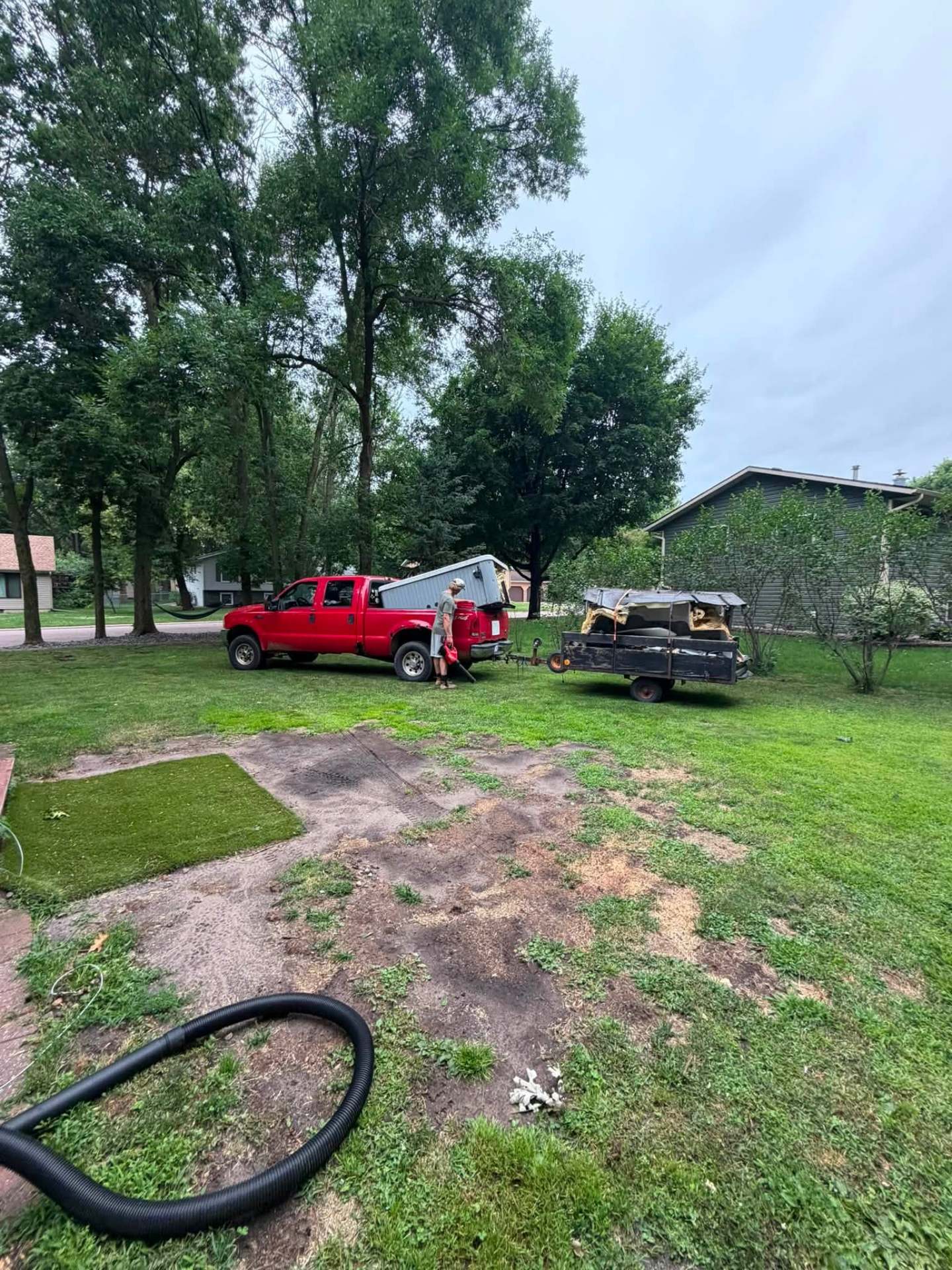 Yard and property cleanup